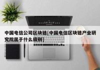 中国电信公司区块链[中国电信区块链产业研究院属于什么级别]