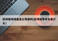 区块链领域基金公司架构[区块链基金会是什么]